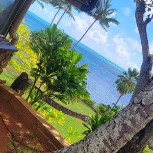 Meet your Posher, Shaun